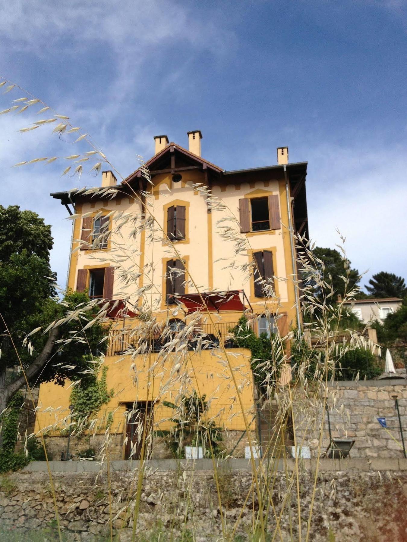 Gite Du Chalet Pietri Olivese Exterior photo